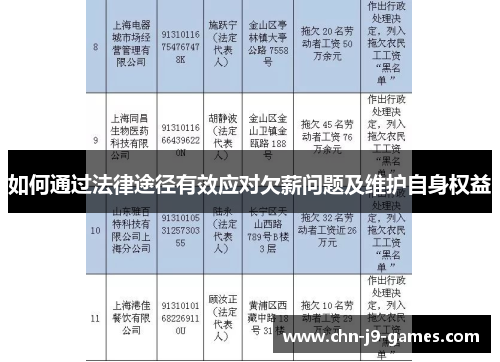 如何通过法律途径有效应对欠薪问题及维护自身权益