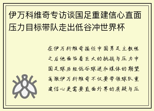 伊万科维奇专访谈国足重建信心直面压力目标带队走出低谷冲世界杯 伊万科维奇专访谈国足重建信心直面压力目标带队走出低谷冲世界杯